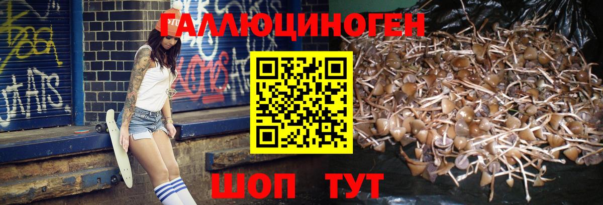 продажа наркотиков  Вход с VPN  Кирово-Чепецк  Псилоцибиновые грибы мицелий  Галлюциногенные грибы GOLDEN TEACHER 